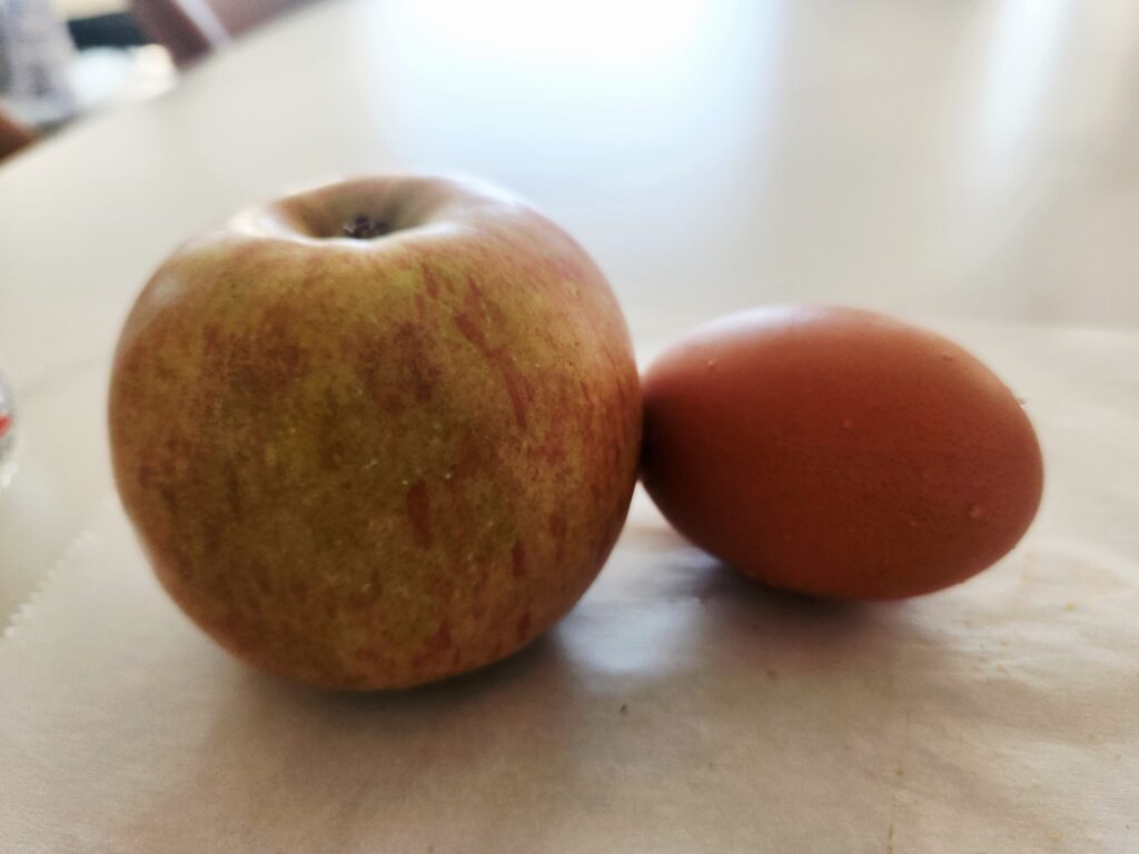 ๐ฑ๋จ๋ฐฑ์ง๋ฟ๋ฟ ๋ค์ด์ดํธ๊น๋ฐฅ ๋์ฅ๊ณ ํ๋จน๊ธฐ! kakaotalk 20260129 110853748 09